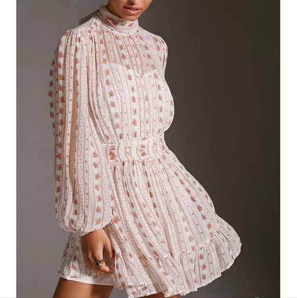 Anthropologie Dresses & Skirts - NWT Let Me Be for Anthropologie Mock Neck Sheer Mini Dress